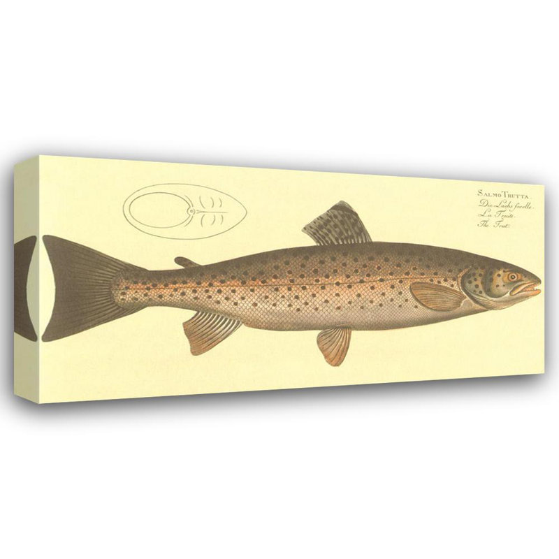 Trout MCG-B854, 20'' H x 40'' W