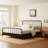 Dorella Acacia Wood Platform Bed-100757993