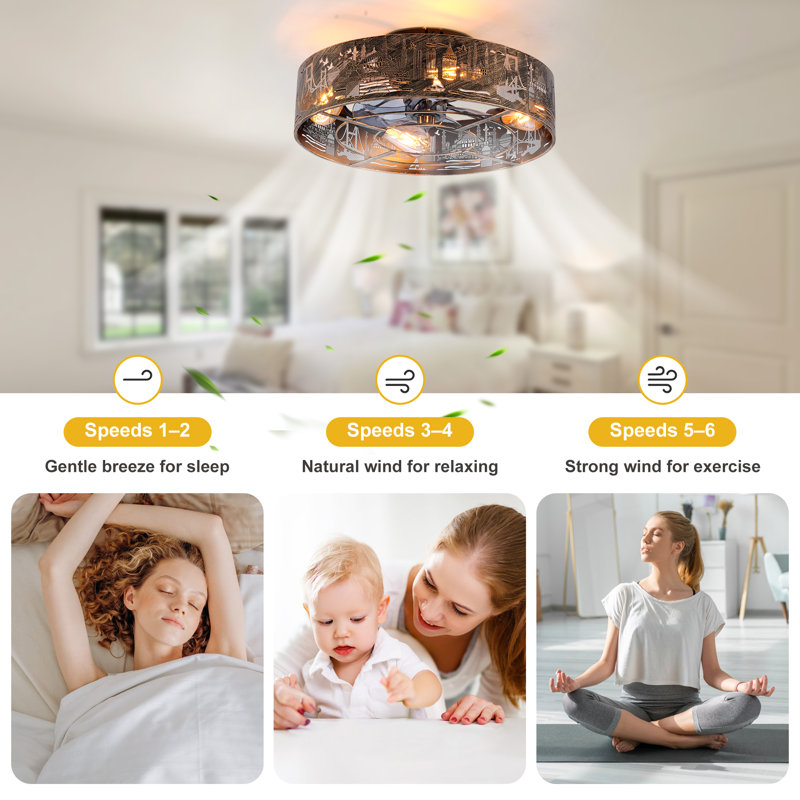 20'' 6-Speed Farmhouse Reversible Caged Ceiling Fan With Light Kit And Remote