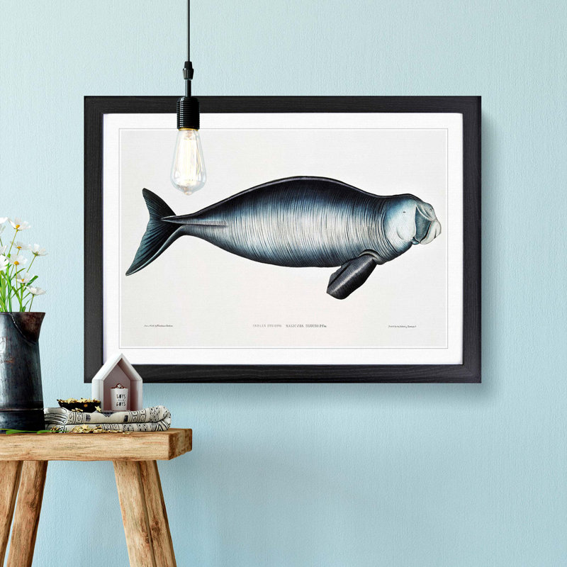 Indian Dugong by John Edward Gray - Picture Frame Painting Print, 36cm H x 48cm W x 2cm D, Black Framed