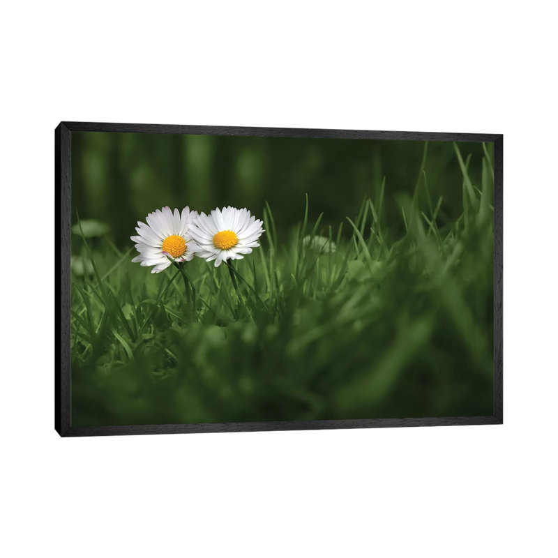 You And I by Ben Heine - Floater Frame Print on Canvas, 66.04 cm H x 45.72 cm W, Black Framed Canvas