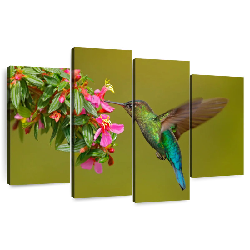 Colibri Brampt se nourrissant, H 54 po x l 84 po