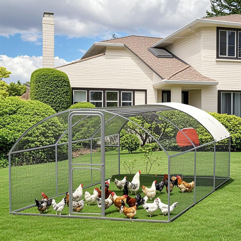 Walk In Chicken Coop with Chicken Run