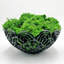 Mousse de renne préservée en vert émeraude-50091035