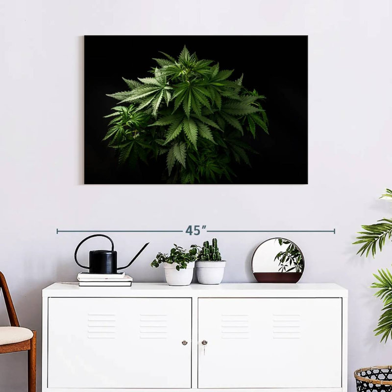 Senne Marijuana Cluster, 24" H x 36" W