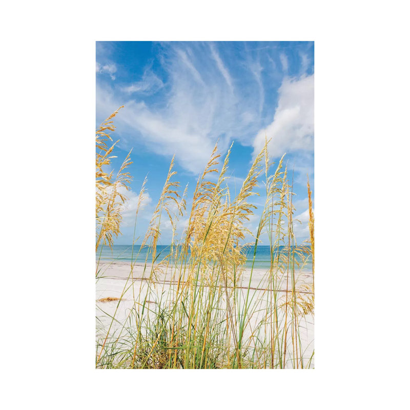 St. Pete Beach by Bethany Young - Print on Canvas, 101.6cm H x 66.04cm W x 3.81cm D, Wrapped Canvas