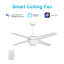 Ventilateur de plafond intelligent Neva avec contrôle mural, ensemble d'éclairage inclus, fonctionne avec l'assistant Google, Amazon Alexa et les raccourcis Siri.-1264748046-1264748047-1264748035