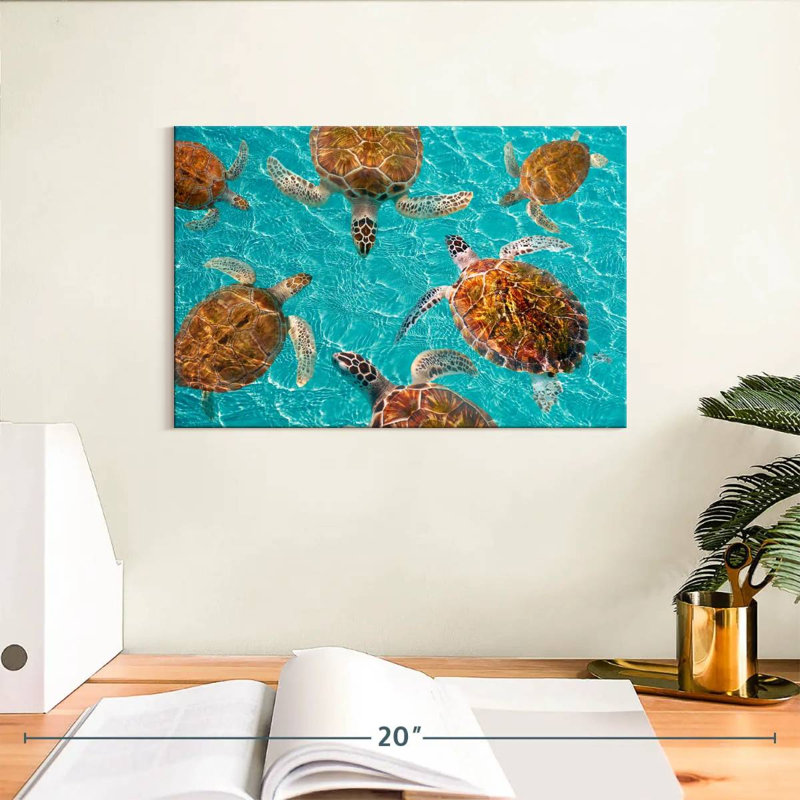 Brampt Turtles, 8" H x 12" W