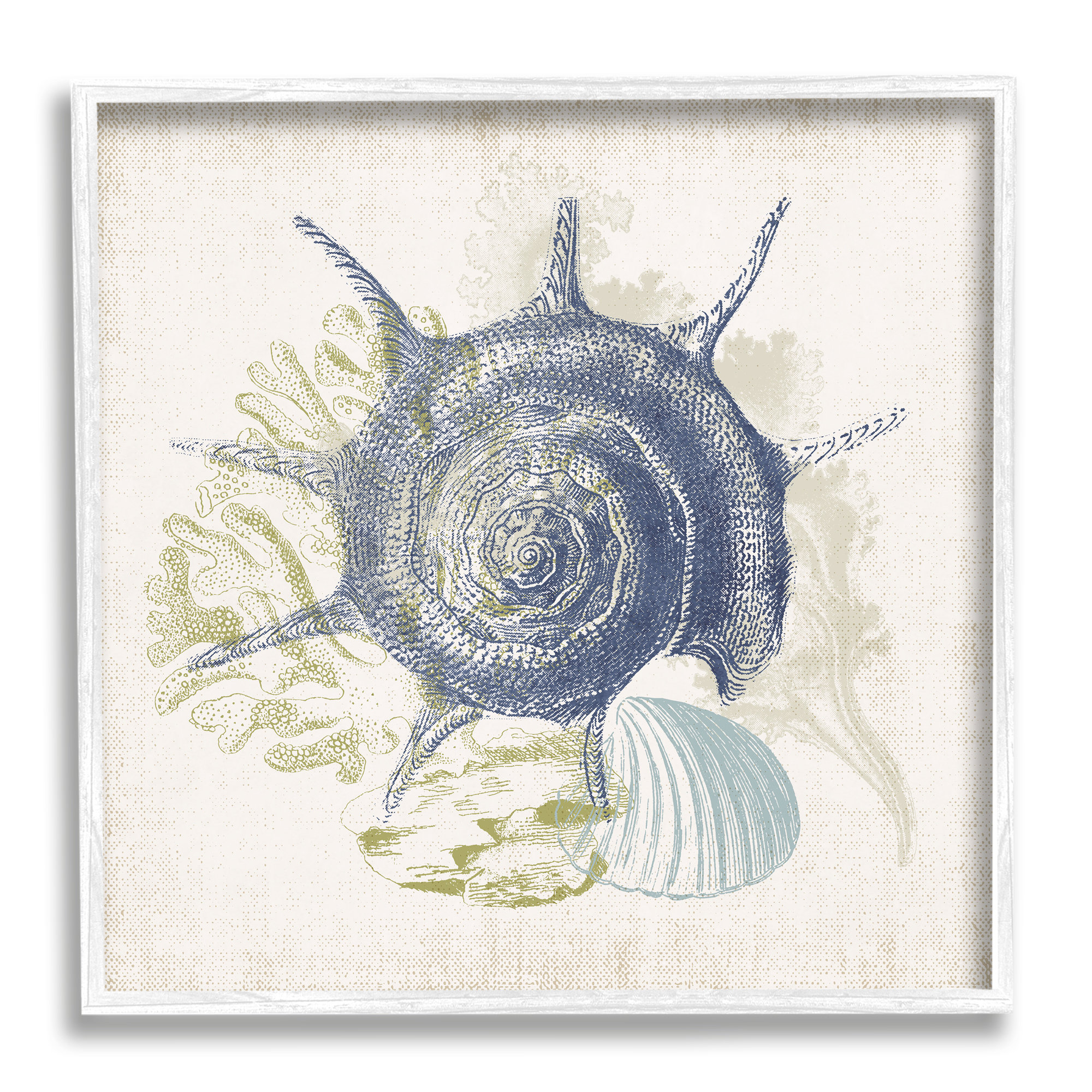 https://assets.wfcdn.com/im/72358625/compr-r85/2240/224050822/intricate-conch-seashell-drawing-layered-coral-botanicals-framed-on-wood-by-victoria-barnes-print.jpg