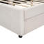 Queen Size Upholstered Platform Bed With USB And 2 Drawers-1549929189