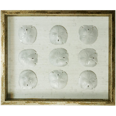 Sealife - Shadow Box Graphic Art