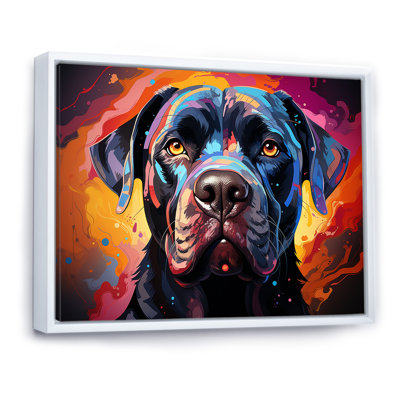 " Cane Corso Confidence IV "