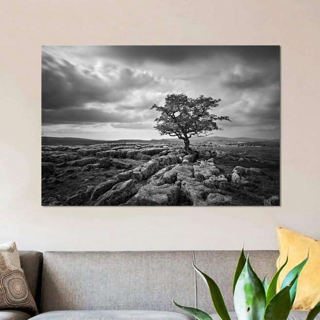 «Pavement and Tree I», reproduction de photo sur toile, H 26 po x l 40 po x P 1,5 po