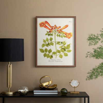 «Tropical Trumpet Flowers III», reproduction encadrée - bois massif
