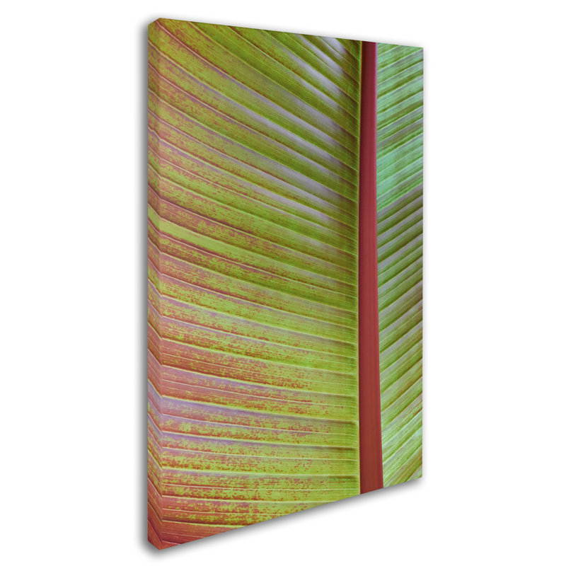 « leaf texture vi », reproduction de photo sur toile tendue, H 47 po x l 30 po x P 2 po