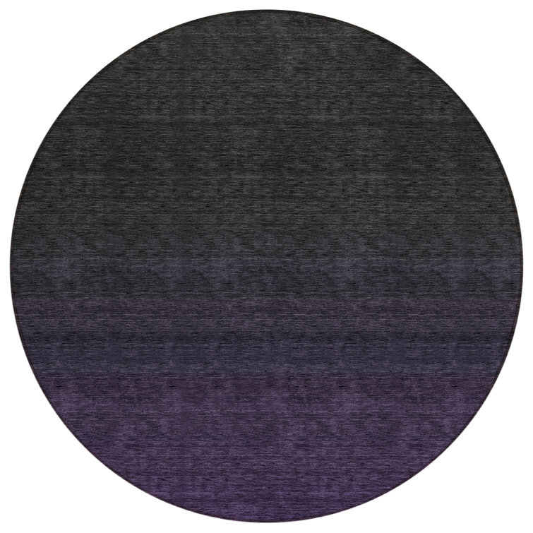  Quadree Area Rug