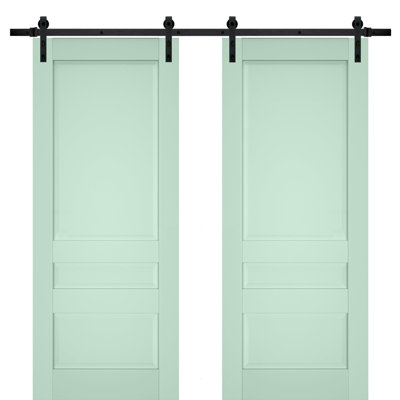 Veregio Paneled Wood Barn Doors