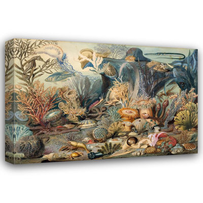 "Ocean Life" par James M. Sommerville - Art sur toile tendue avec châssis
