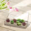 Metal & Glass Jewellery Box