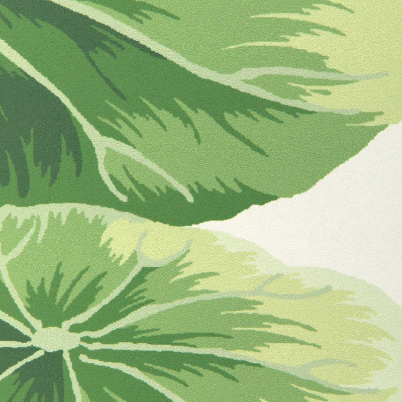 Lotus Pond Wp - Noir, Multi