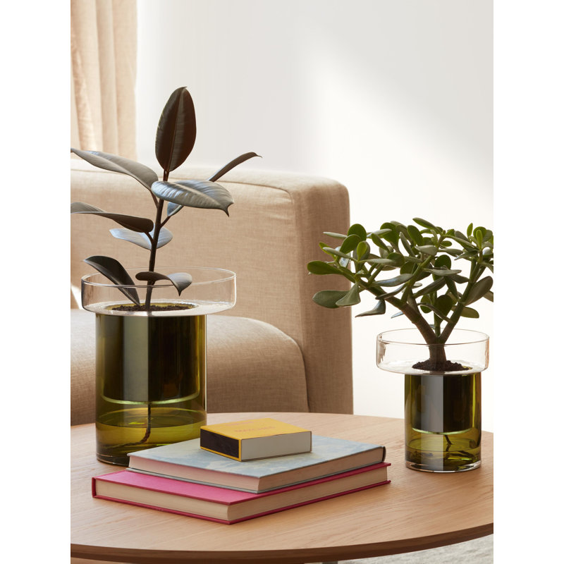 Balcony Handmade Glass Planter, 7.5" H x 6.25" W x 6.25" D