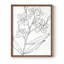 «Botanical Sketch I», reproduction encadrée - bois massif-1554334690-1554334693