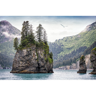 Foggy Day, Kenai Fjords National Park, Alaska, USA by Stevenschremp - Wrapped Canvas Print
