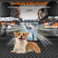 Back Seat Extender for Dogs-123250492