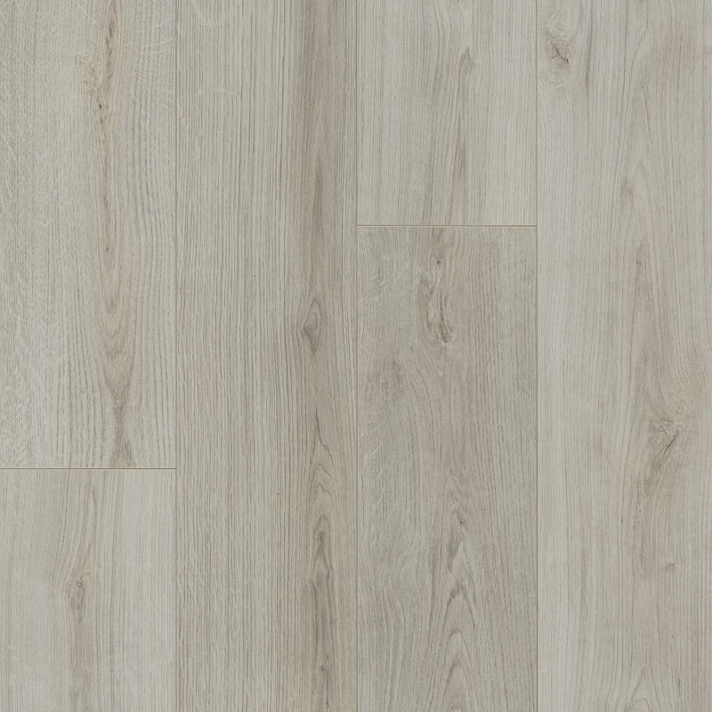 Parquet stratifié chêne 7,5 po x 54 po x 8 mm Empire Plus, Galaxie