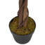 Faux Ficus Tree in Pot-761116810
