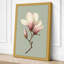 Magnolia in Bloom Botanical - Wrapped Canvas-464203502-464203505