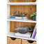 Bibliothèque en bois avec deux bacs de rangement 35,5 x 12 x 71 po
