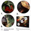 «Floral Tyrannosaurus Dinoasaur Jungle Portrait» - Art mural sur toile