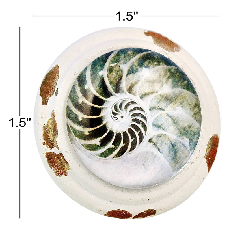 Poignée Nautilus blanc délavé Seashell Art