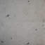 Kobe 24x48 Matte Terrazzo Look Porcelain Tile-1724910541