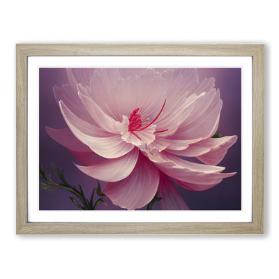 Creative Carnation Flower - Single Picture Frame Print
