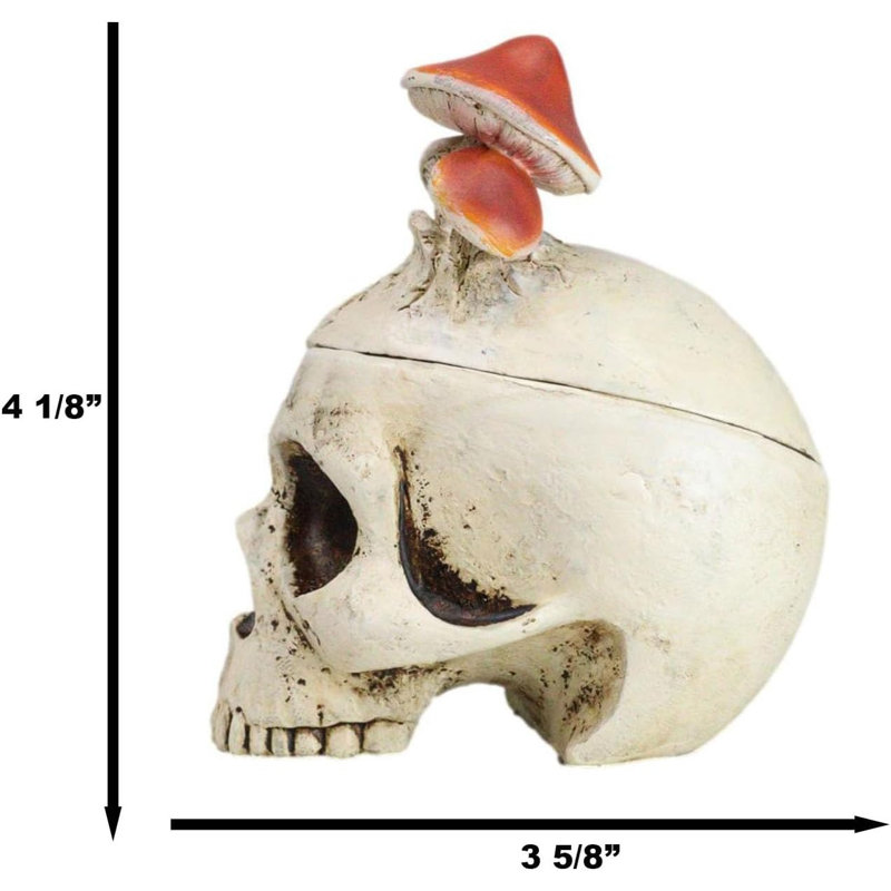 Figurine boîte décorative Wicca