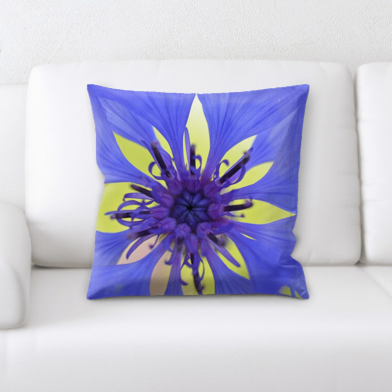 Coussin bleuet