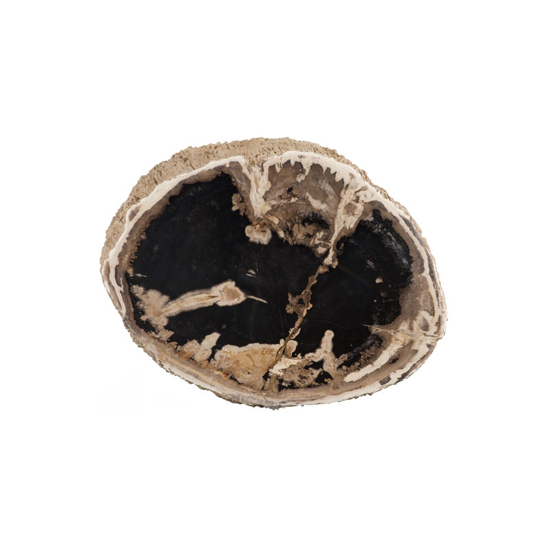 Chaka Petrified Stool, Rough, Cream