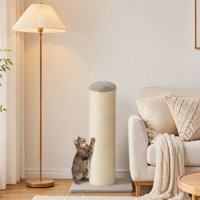 75.5 cm H Cat Scratchers