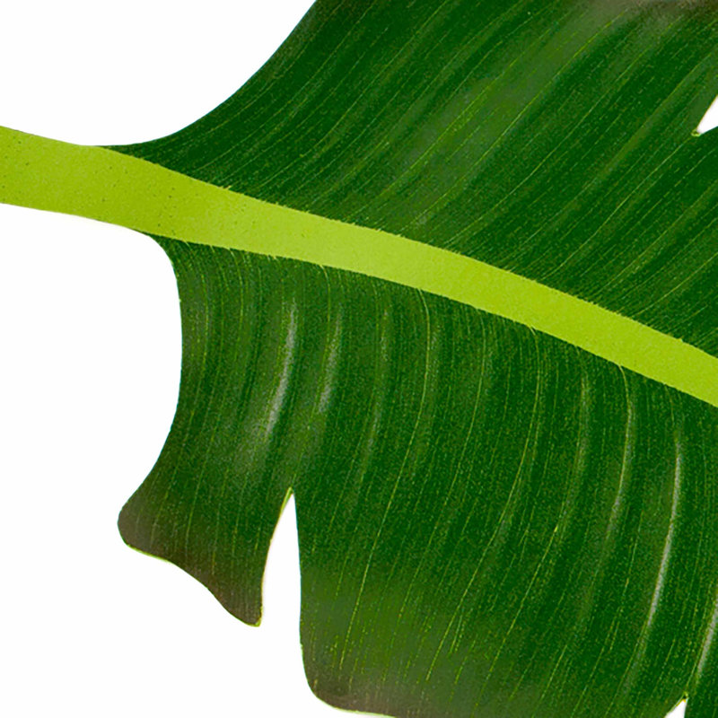 Napperon Moïse