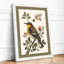 Goldfinch on Branch Botanical - Framed Print-762539490-762539493