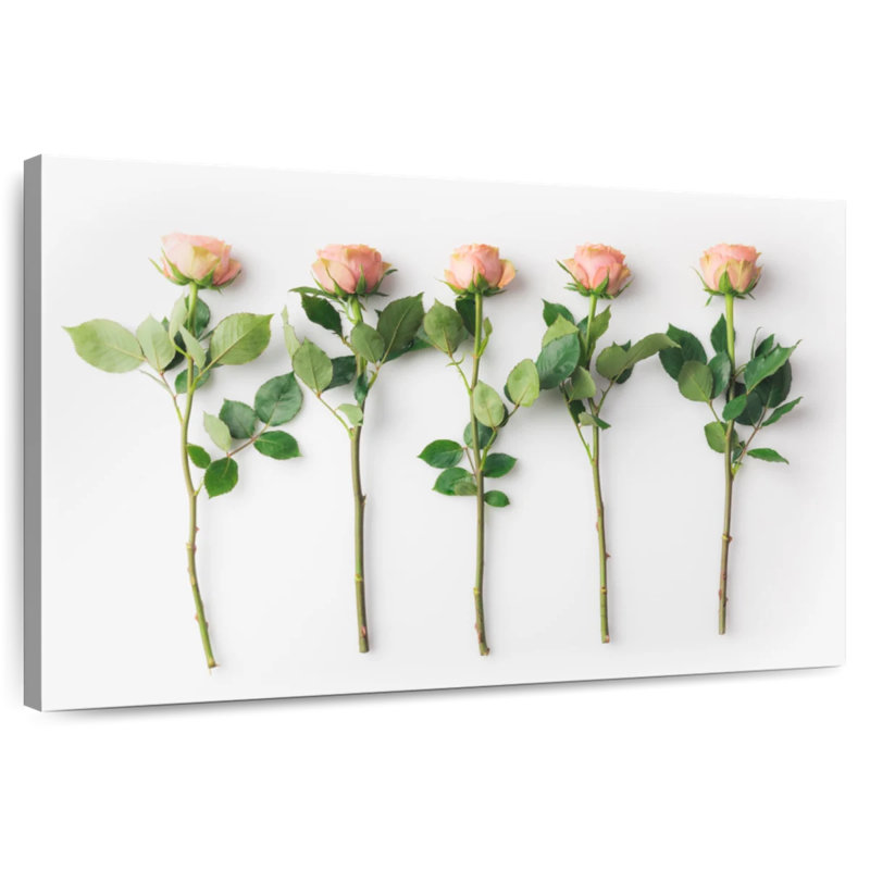 Harnek roses et épines