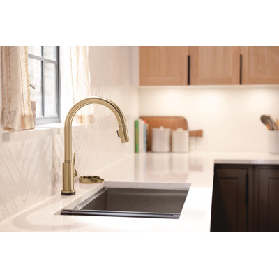 Trinsic VoiceIQ Touch Kitchen Faucet with Touchless Technology, Gold Kitchen Faucet, Smart Faucet, Alexa and Google Assistant Voice Activated, Champagne Bronze