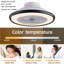 Charley-Anne Ceiling Fan with Light Kit