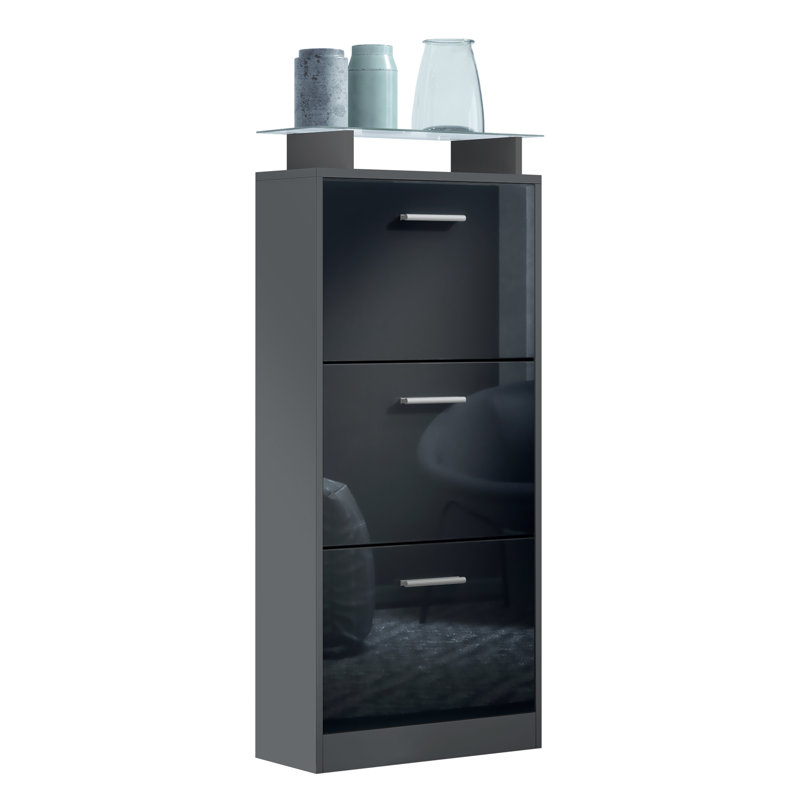 12 Pair Shoe Storage Cabinet, Anthracite/Black