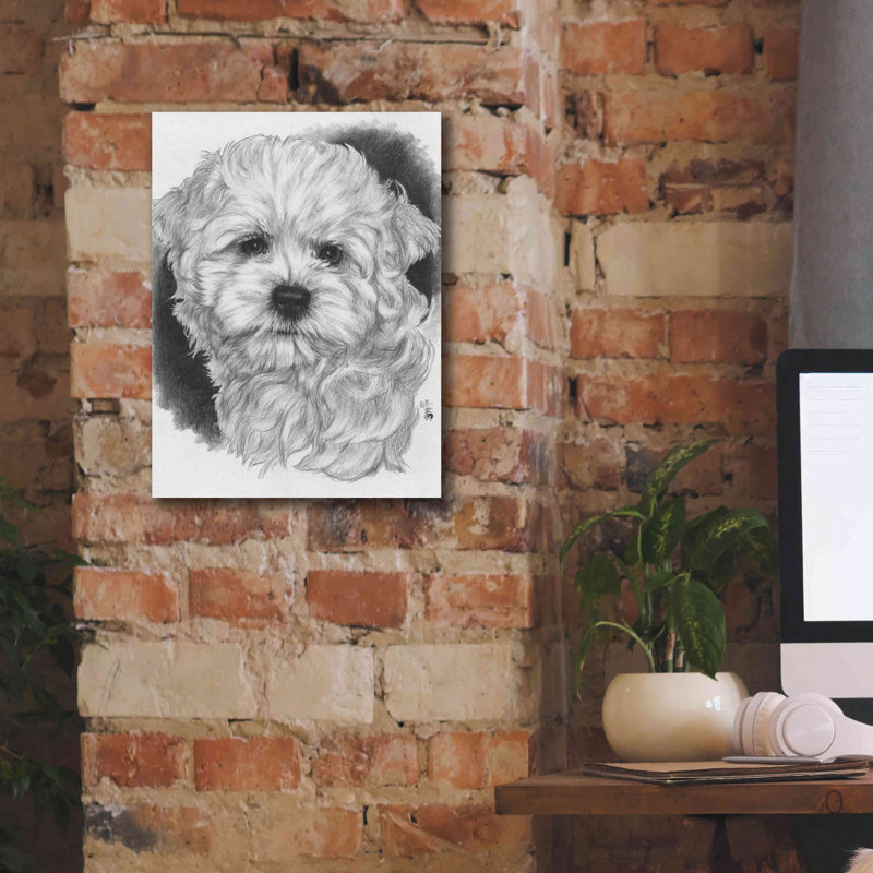 'Maltichon' by Barbara Keith, Canvas Wall Art