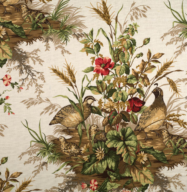 Tissu Edwin's Covey, Multicolore / Blanc