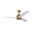 Avila LED Downrod Ceiling Fan-1587696245