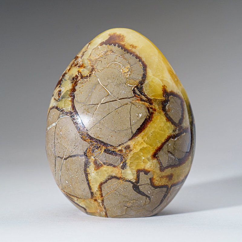 Polished Septarian Freeform From Madagascar (2.6 Lbs)